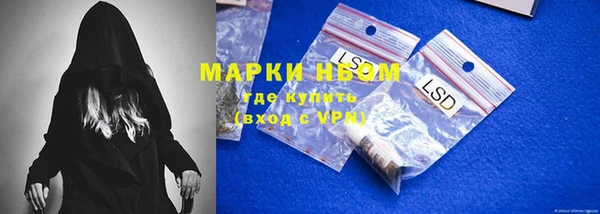 ПСИЛОЦИБИНОВЫЕ ГРИБЫ Кодинск