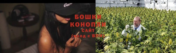 стафф Козельск