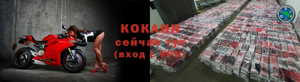 ПСИЛОЦИБИНОВЫЕ ГРИБЫ Кодинск