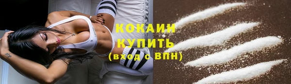 прущие крисы Козловка