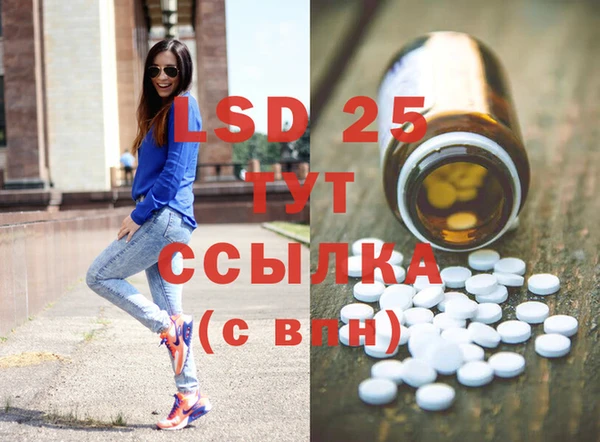 ПСИЛОЦИБИНОВЫЕ ГРИБЫ Кодинск