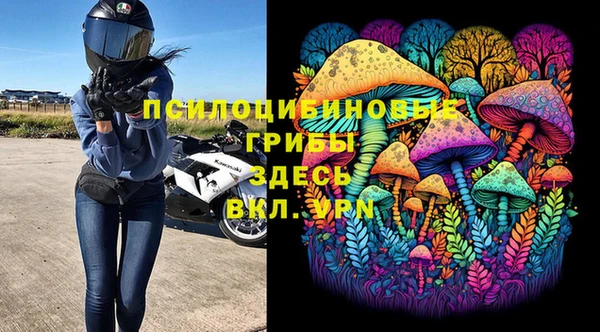 стафф Козельск