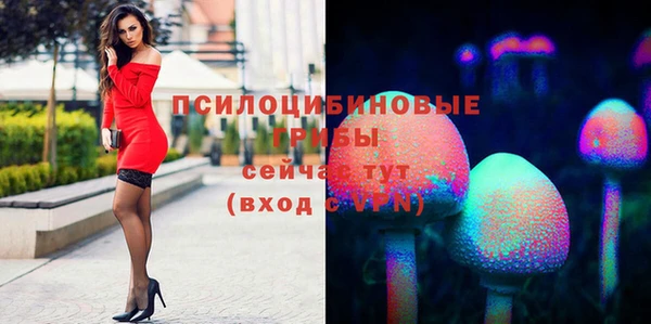 прущие крисы Козловка