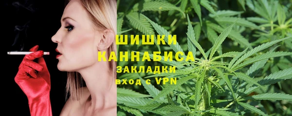 ПСИЛОЦИБИНОВЫЕ ГРИБЫ Кодинск