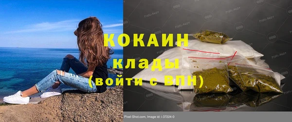 прущие крисы Козловка