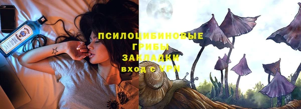дурь Анива